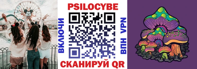Галлюциногенные грибы Cubensis  как найти   Зерноград 